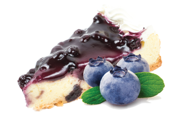 vzorka wpc80 blueberry cheesecake 25g 751