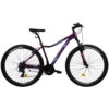 Noi mountain bike kerekpar DHS Terrana 2922 29