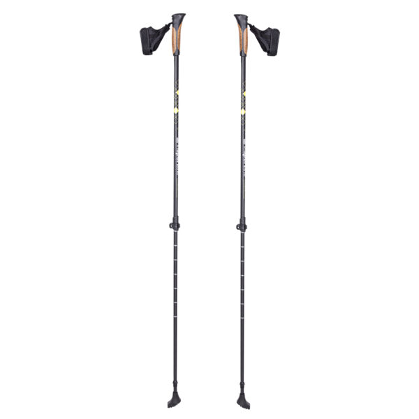 Nordic walking turabot inSPORTline Hallti